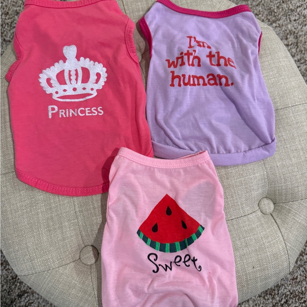 Lot 3 has 3 cute size small pet shirts.